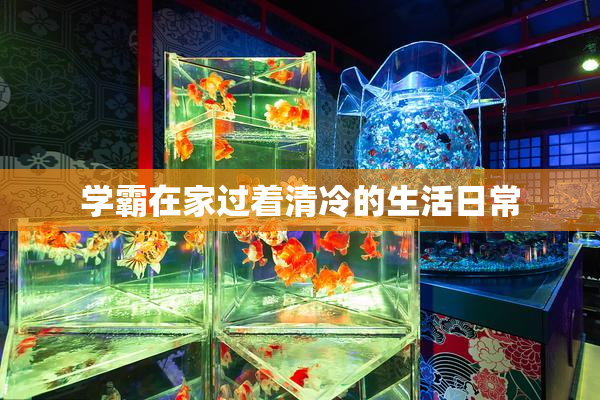 学霸在家过着清冷的生活日常