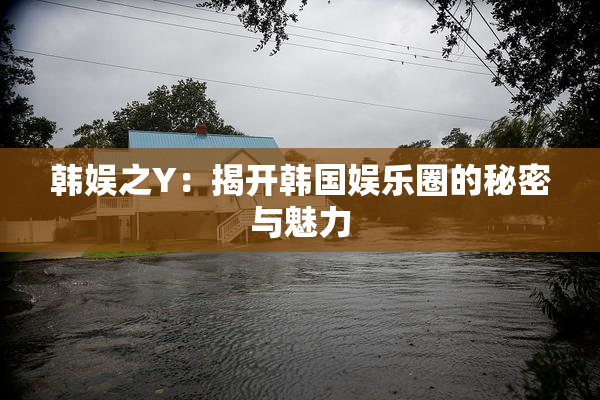韩娱之Y：揭开韩国娱乐圈的秘密与魅力