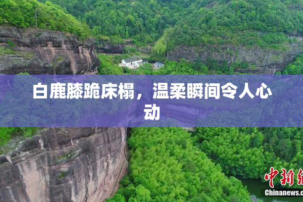 白鹿膝跪床榻，温柔瞬间令人心动