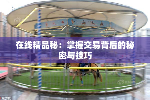 在线精品秘：掌握交易背后的秘密与技巧
