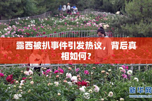露西被扒事件引发热议，背后真相如何？