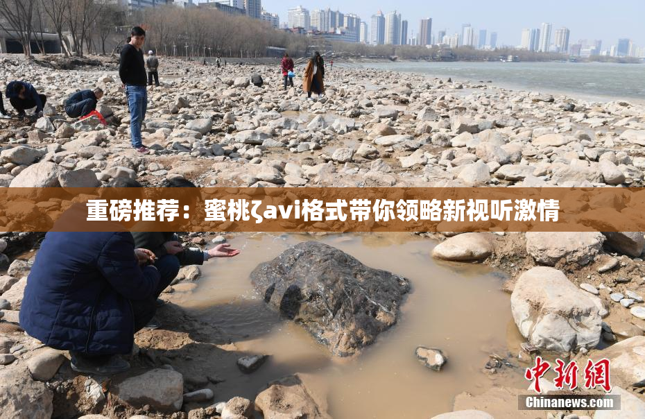 重磅推荐：蜜桃ζavi格式带你领略新视听激情