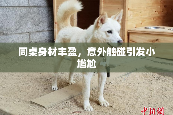同桌身材丰盈，意外触碰引发小尴尬