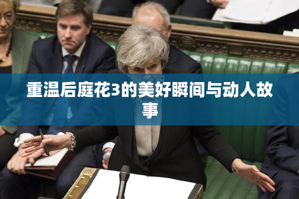 重温后庭花3的美好瞬间与动人故事