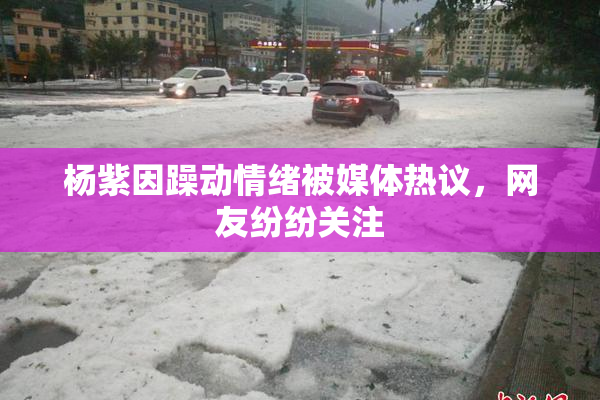 杨紫因躁动情绪被媒体热议，网友纷纷关注