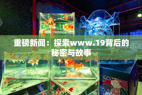 重磅新闻：探索www.19背后的秘密与故事