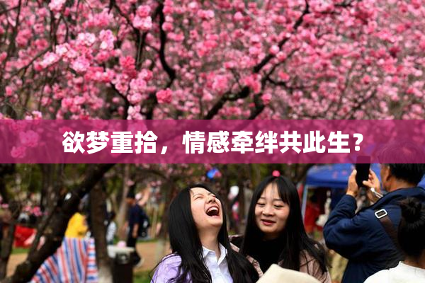 欲梦重拾，情感牵绊共此生？