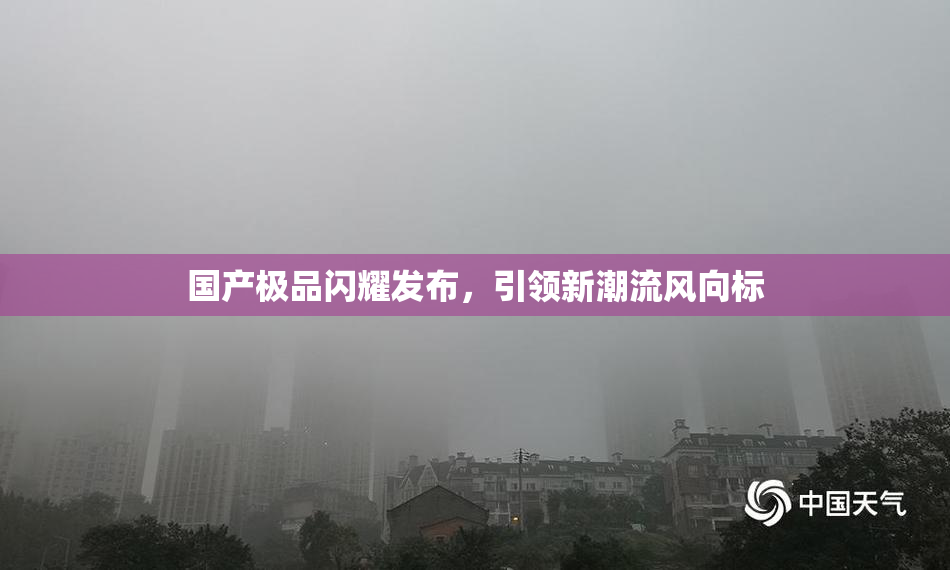 国产极品闪耀发布，引领新潮流风向标
