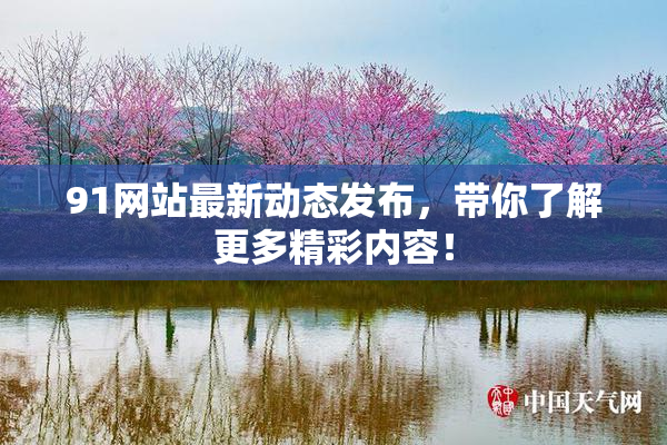 91网站最新动态发布，带你了解更多精彩内容！