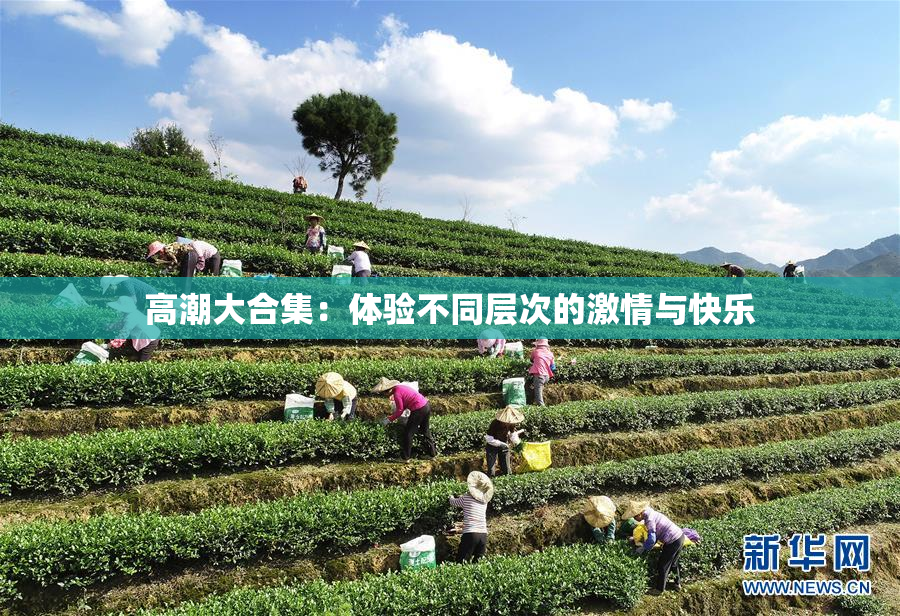 高潮大合集：体验不同层次的激情与快乐