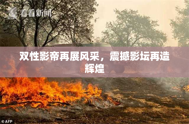 双性影帝再展风采，震撼影坛再造辉煌