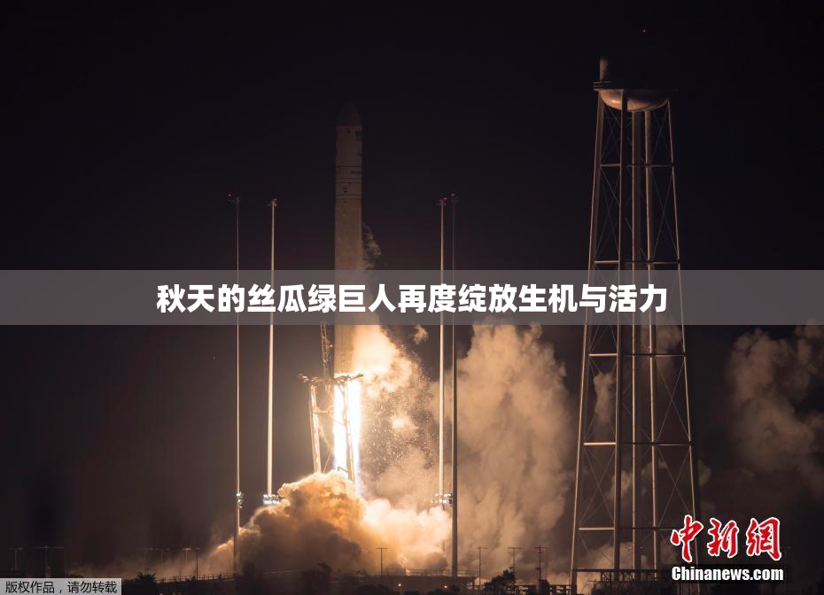 秋天的丝瓜绿巨人再度绽放生机与活力