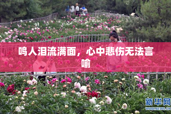 鸣人泪流满面，心中悲伤无法言喻