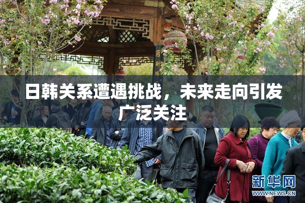 日韩关系遭遇挑战，未来走向引发广泛关注