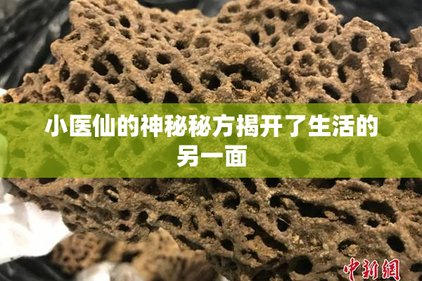 小医仙的神秘秘方揭开了生活的另一面