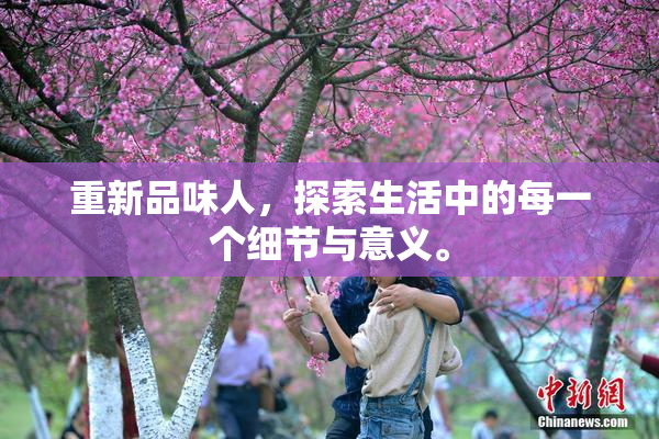 重新品味人，探索生活中的每一个细节与意义。