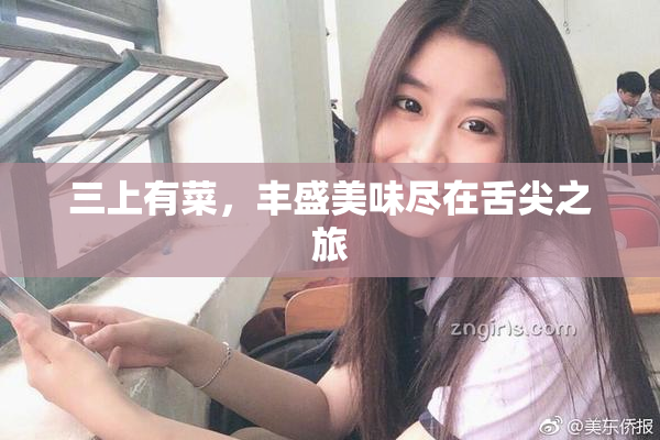 三上有菜，丰盛美味尽在舌尖之旅
