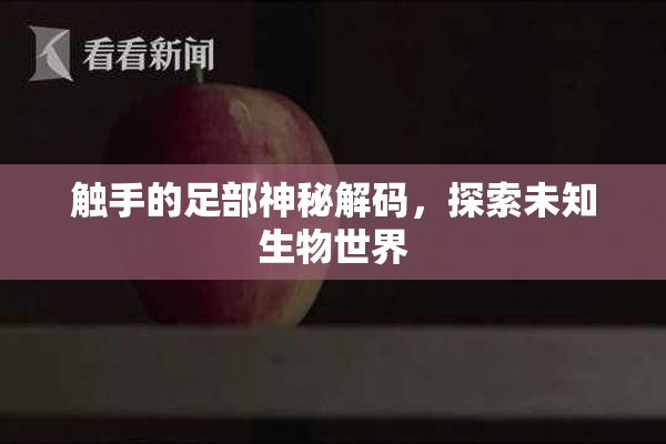 触手的足部神秘解码，探索未知生物世界