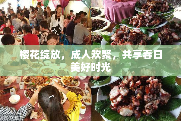 樱花绽放，成人欢聚，共享春日美好时光