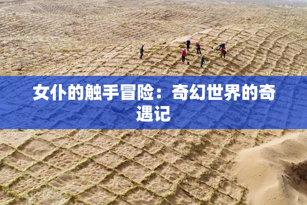 女仆的触手冒险：奇幻世界的奇遇记