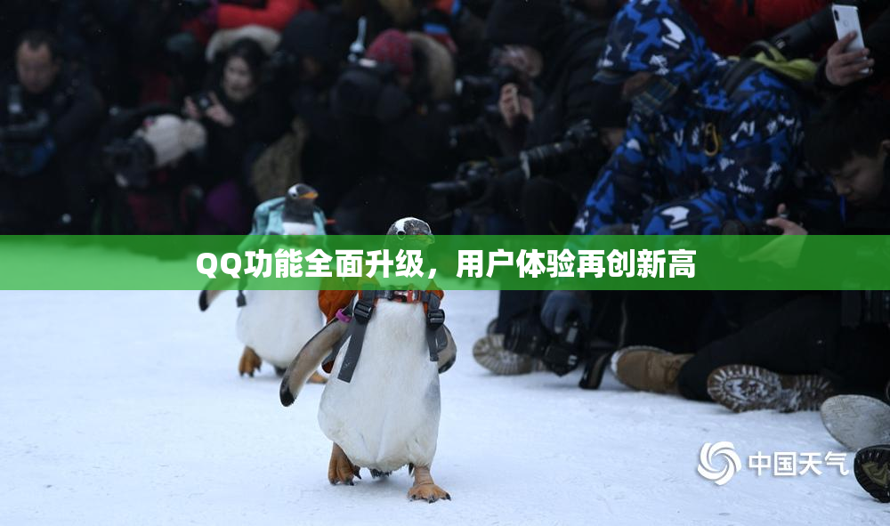 QQ功能全面升级，用户体验再创新高