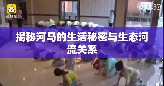 揭秘河马的生活秘密与生态河流关系
