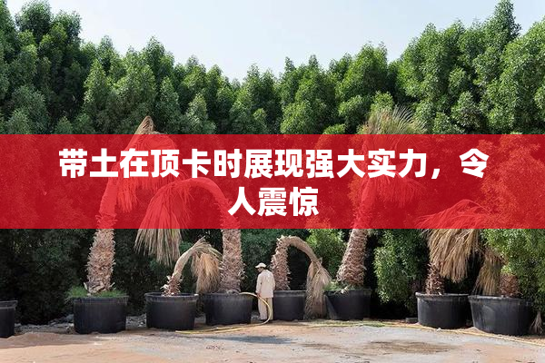 带土在顶卡时展现强大实力，令人震惊