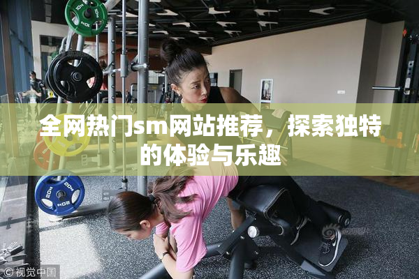 全网热门sm网站推荐，探索独特的体验与乐趣