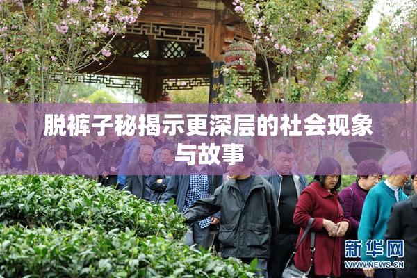 脱裤子秘揭示更深层的社会现象与故事