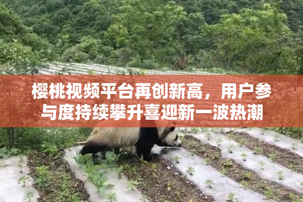 樱桃视频平台再创新高，用户参与度持续攀升喜迎新一波热潮