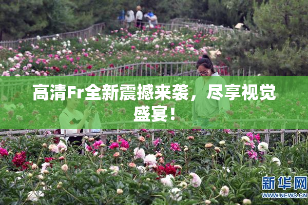 高清Fr全新震撼来袭，尽享视觉盛宴！