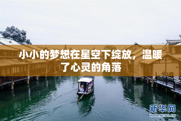 小小的梦想在星空下绽放，温暖了心灵的角落
