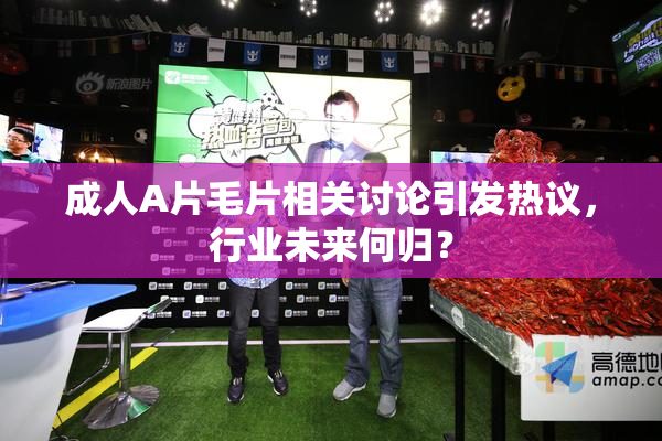 成人A片毛片相关讨论引发热议，行业未来何归？
