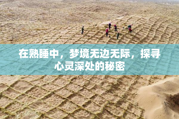 在熟睡中，梦境无边无际，探寻心灵深处的秘密