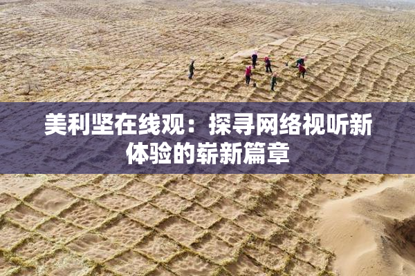 美利坚在线观：探寻网络视听新体验的崭新篇章