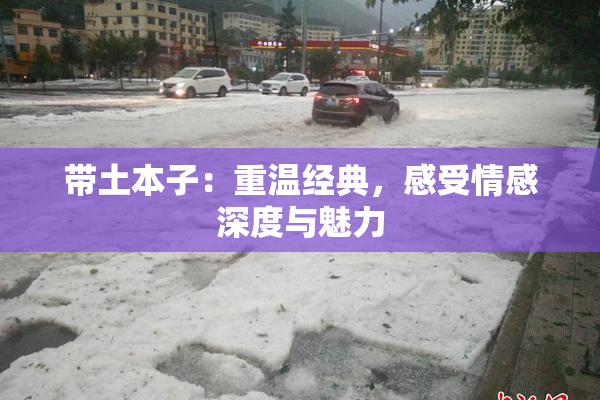 带土本子：重温经典，感受情感深度与魅力