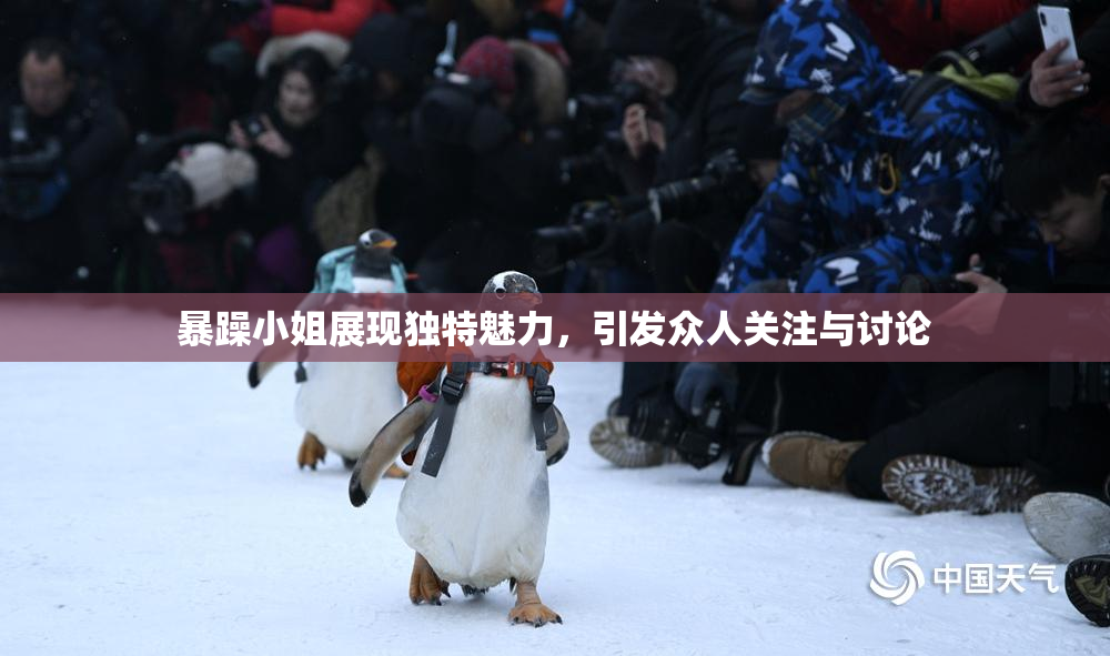暴躁小姐展现独特魅力，引发众人关注与讨论