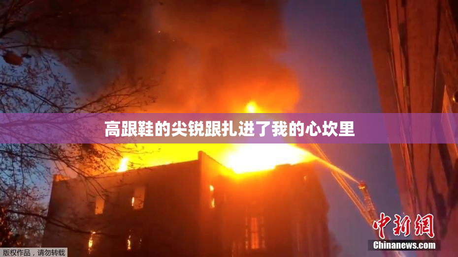 高跟鞋的尖锐跟扎进了我的心坎里