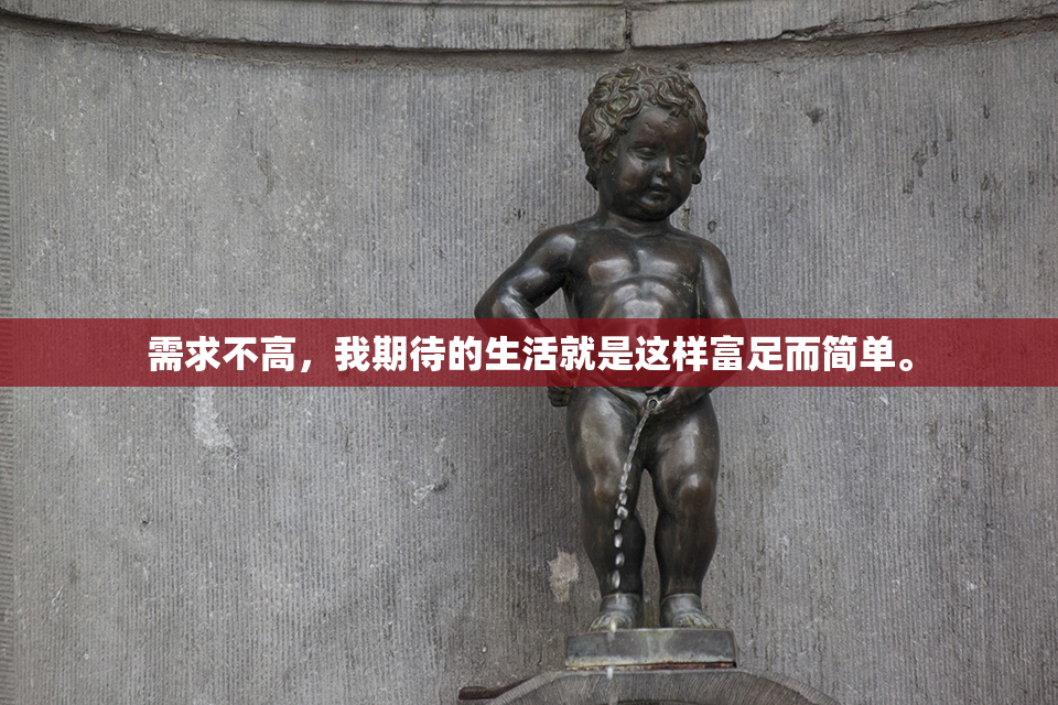 需求不高，我期待的生活就是这样富足而简单。