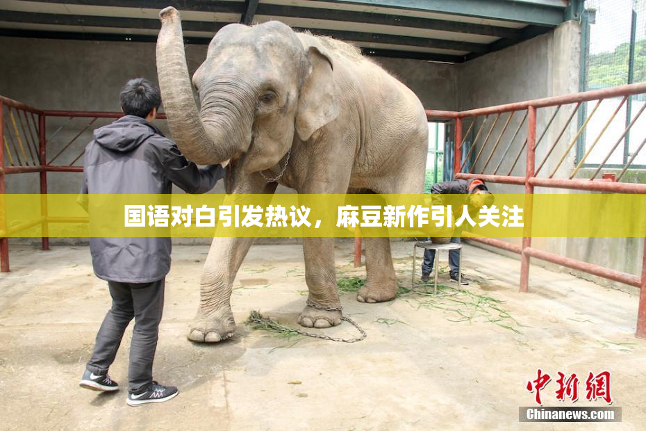 国语对白引发热议，麻豆新作引人关注