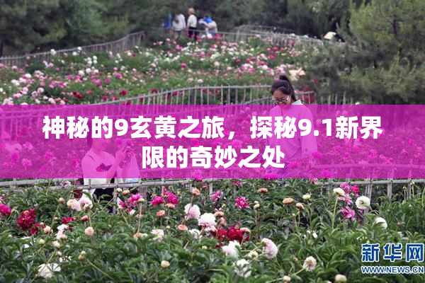 神秘的9玄黄之旅，探秘9.1新界限的奇妙之处