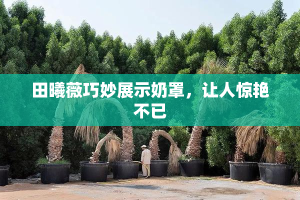 田曦薇巧妙展示奶罩，让人惊艳不已