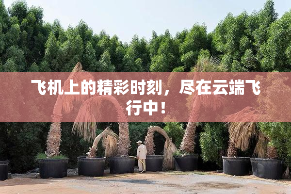 飞机上的精彩时刻，尽在云端飞行中！