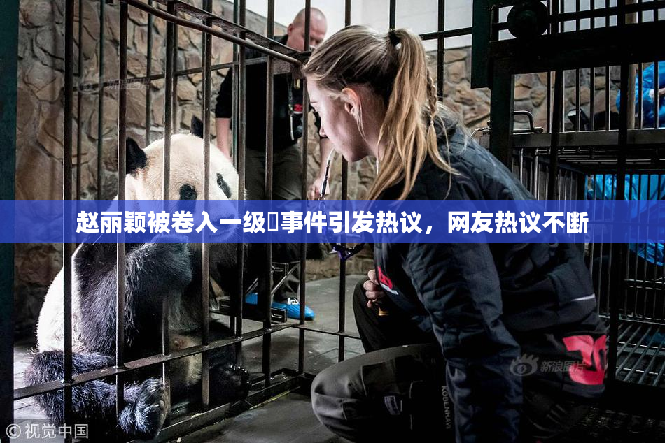 赵丽颖被卷入一级婬事件引发热议，网友热议不断