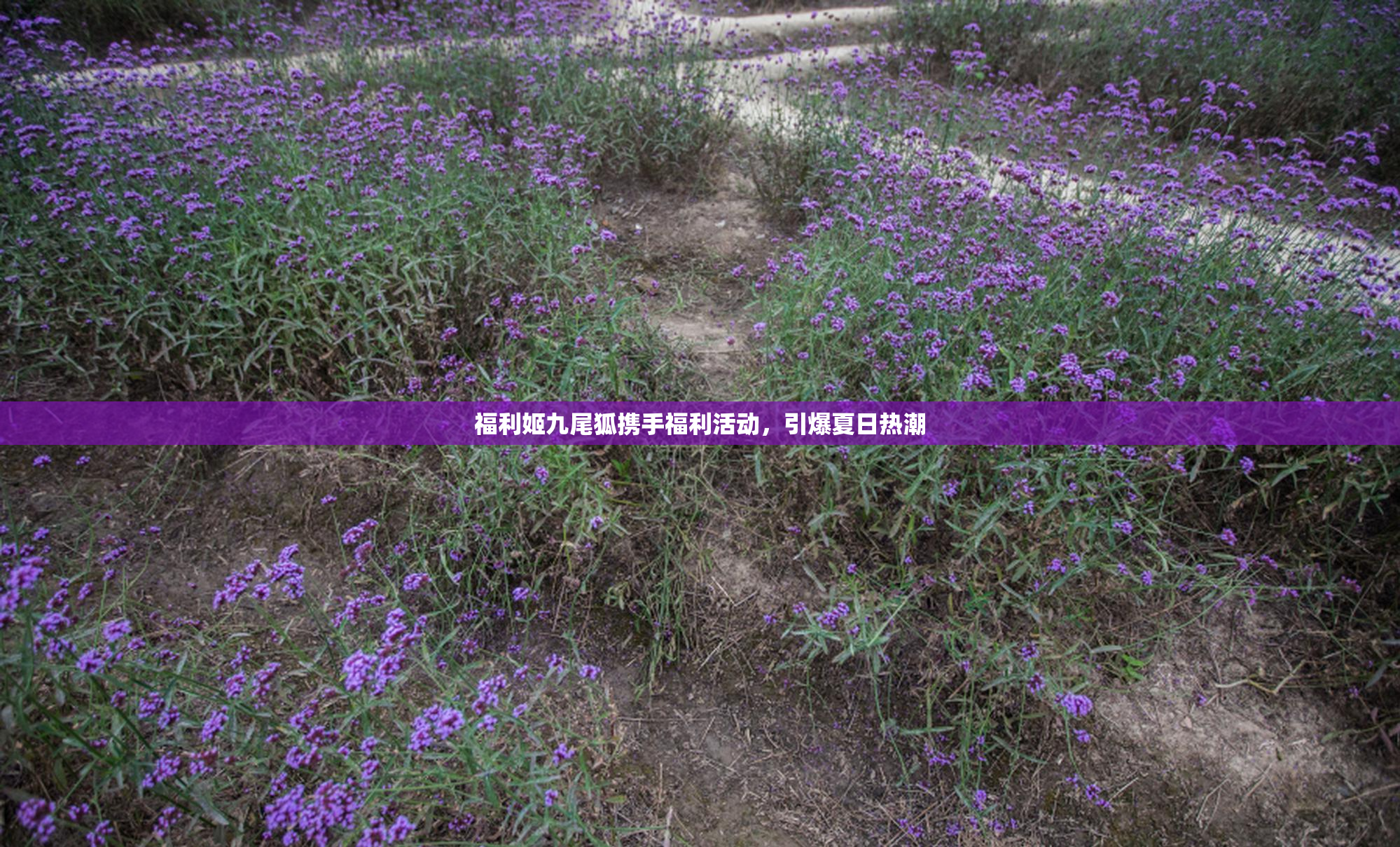 福利姬九尾狐携手福利活动，引爆夏日热潮
