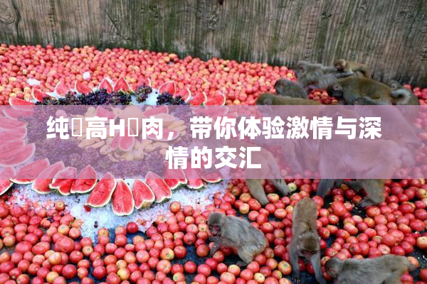 纯愛高H純肉，带你体验激情与深情的交汇
