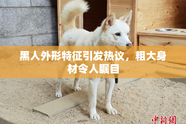 黑人外形特征引发热议，粗大身材令人瞩目