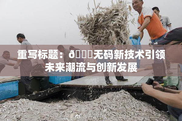 重写标题：🔞无码新技术引领未来潮流与创新发展