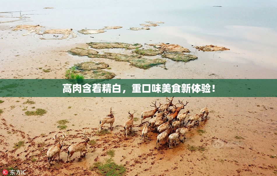 高肉含着精白，重口味美食新体验！