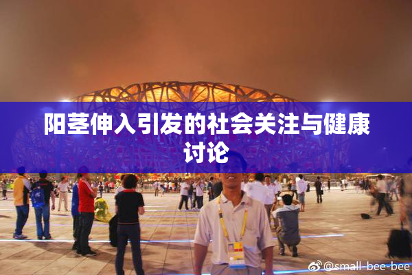 阳茎伸入引发的社会关注与健康讨论
